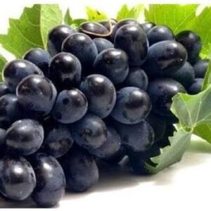 black grapes 500g